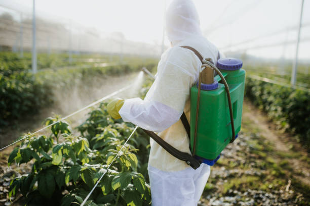Best Ant Control Services  in Kaloko, HI